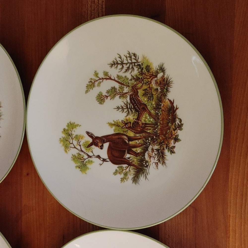 6 Bareuther Waldsassen Wildlife Transferware Porcelain Luncheon Plates - Picture 6 of 17